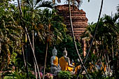 Ayutthaya, Thailand. Wat Yai Chai Mongkhon, saffron-draped Buddha statues inside the temple compound. 